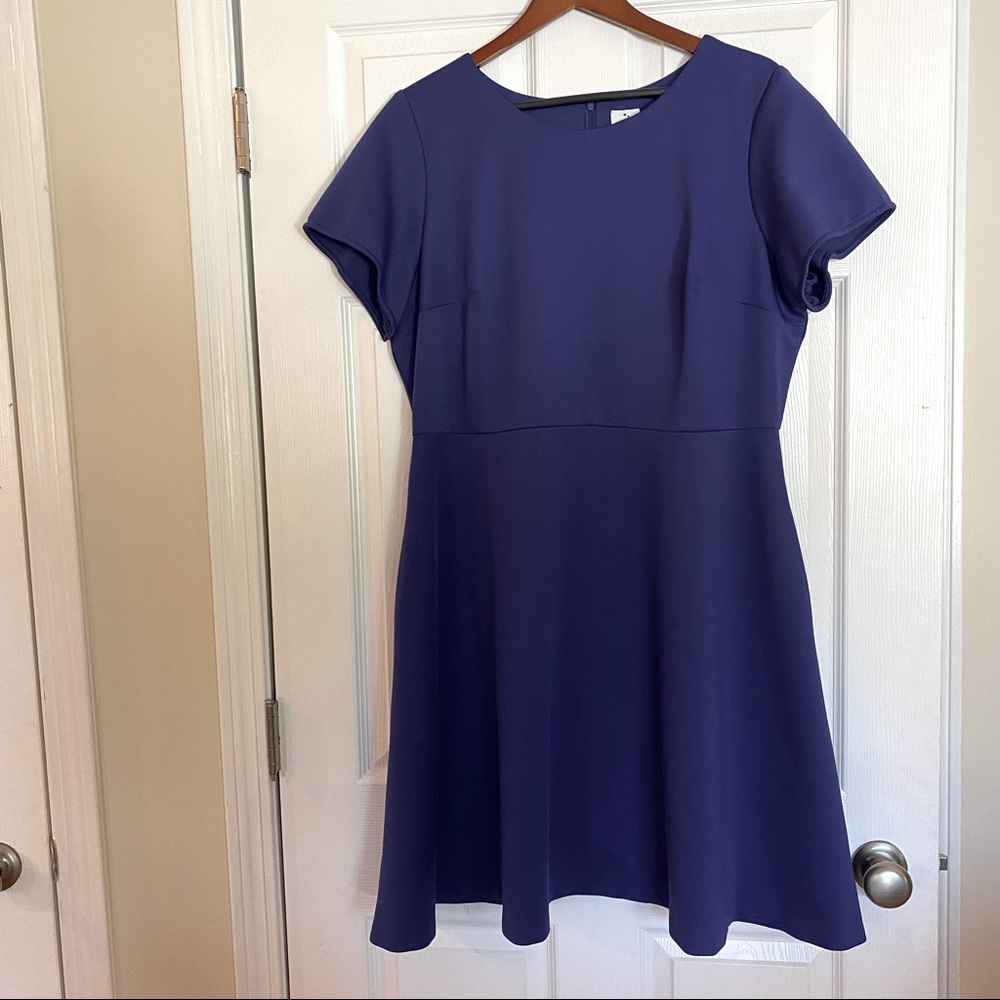 Julia Jordan a-line scuba dress. 18W